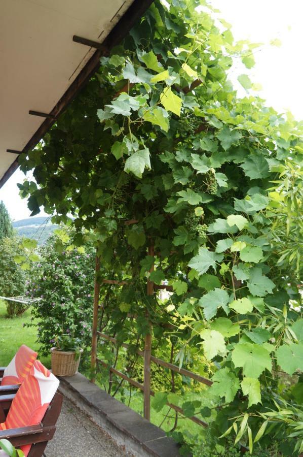 Pension Klimesch モントゼー エクステリア 写真